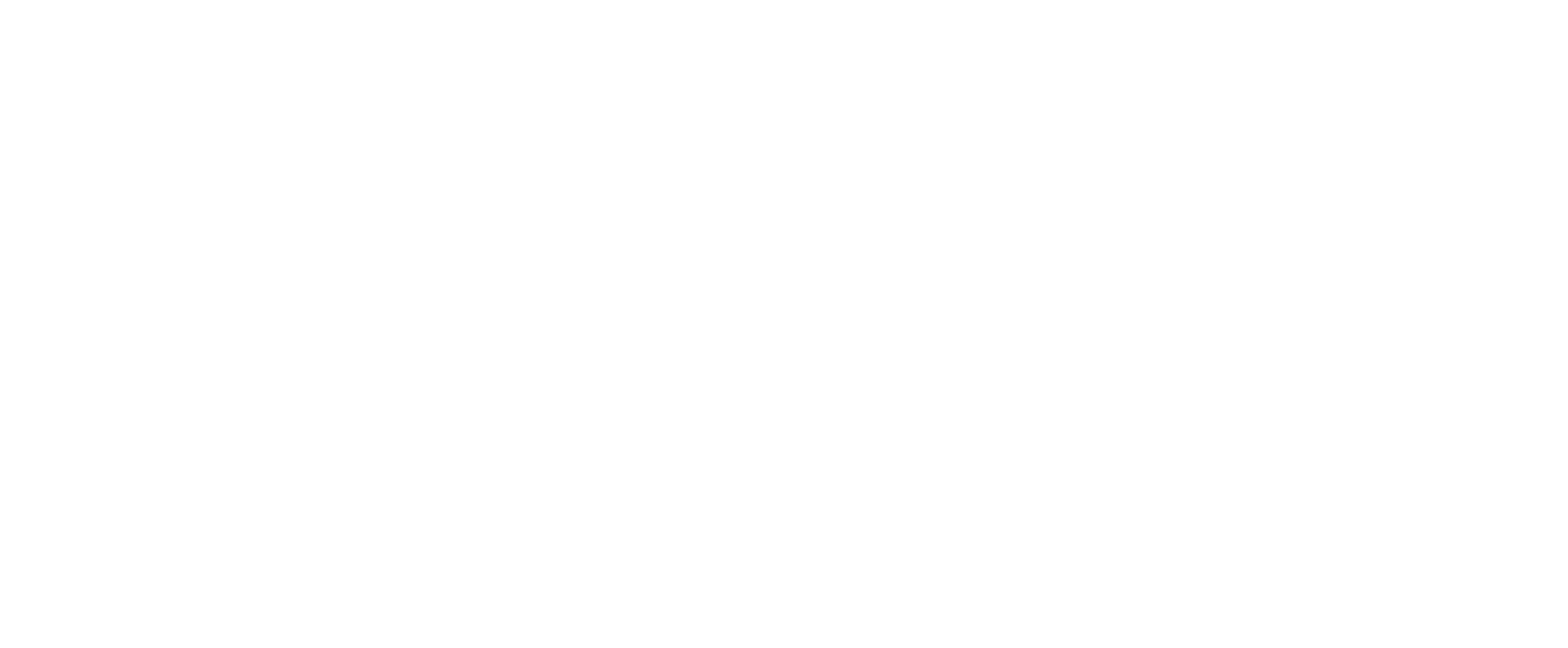 Roby Data Services Logo