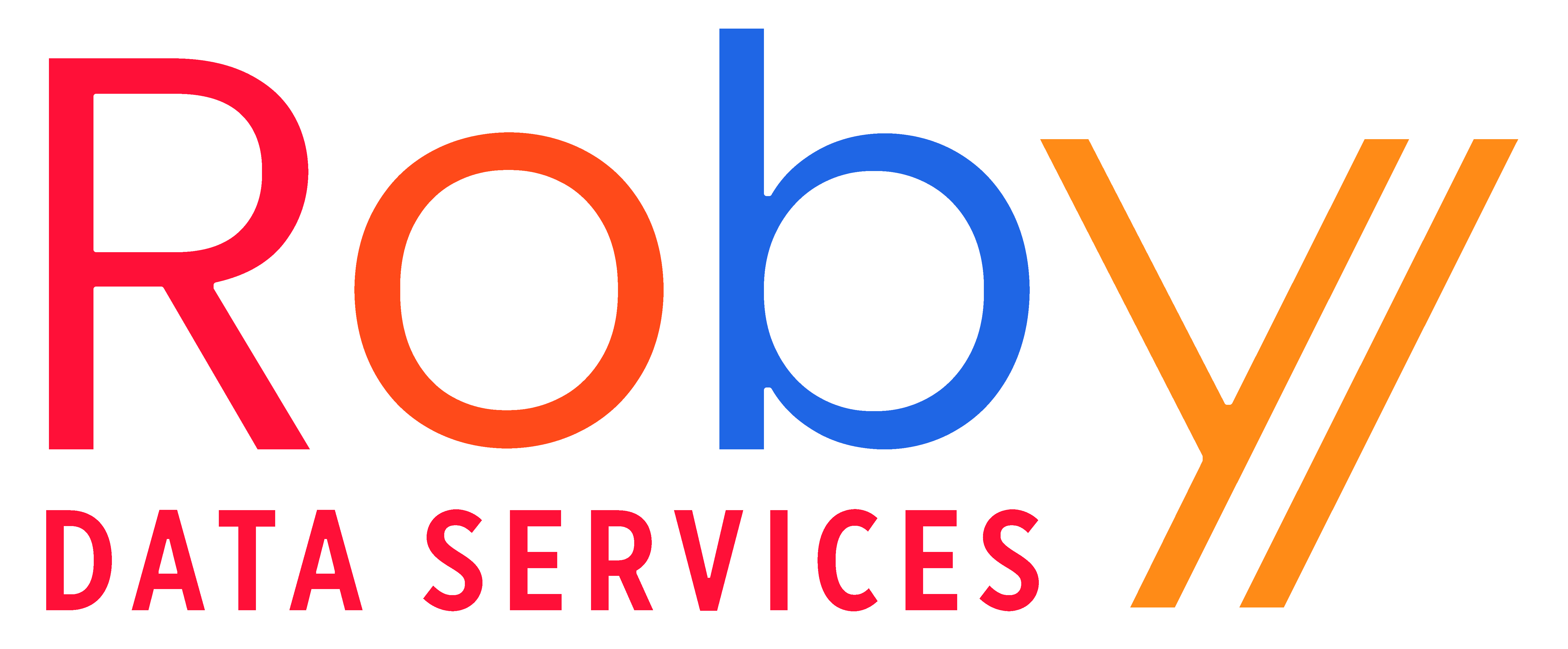 Roby Data Services Logo